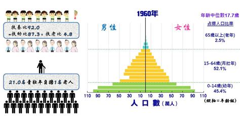 人口比例三角圖|人口金字塔